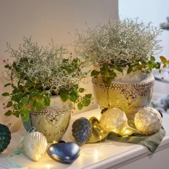 Übertopf 2er Set Montcony