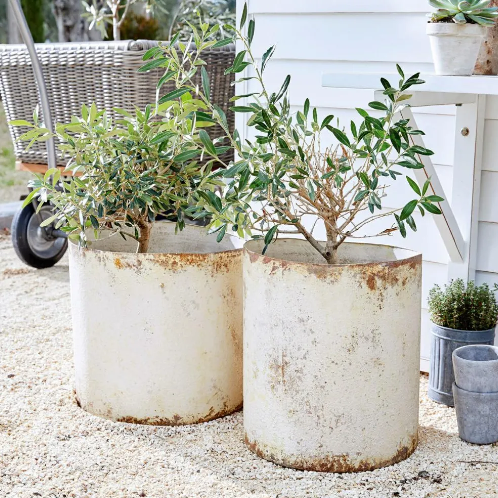 Übertopf 2er Set Sconne