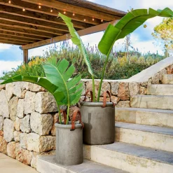 Übertopf 2er Set Tessonet