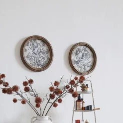 Bild 2er Set Phaurette