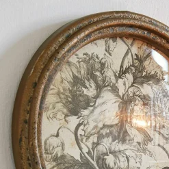 Bild 2er Set Phaurette