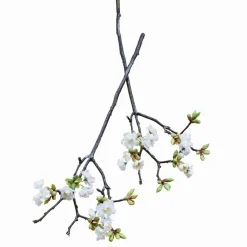 Dekoblume 2er Set Gráda