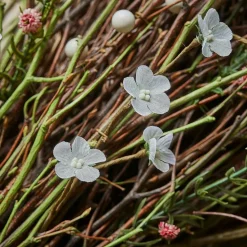 Deko-Blumenstrauß Verilo