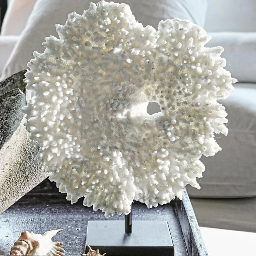 Deko-Koralle Condière