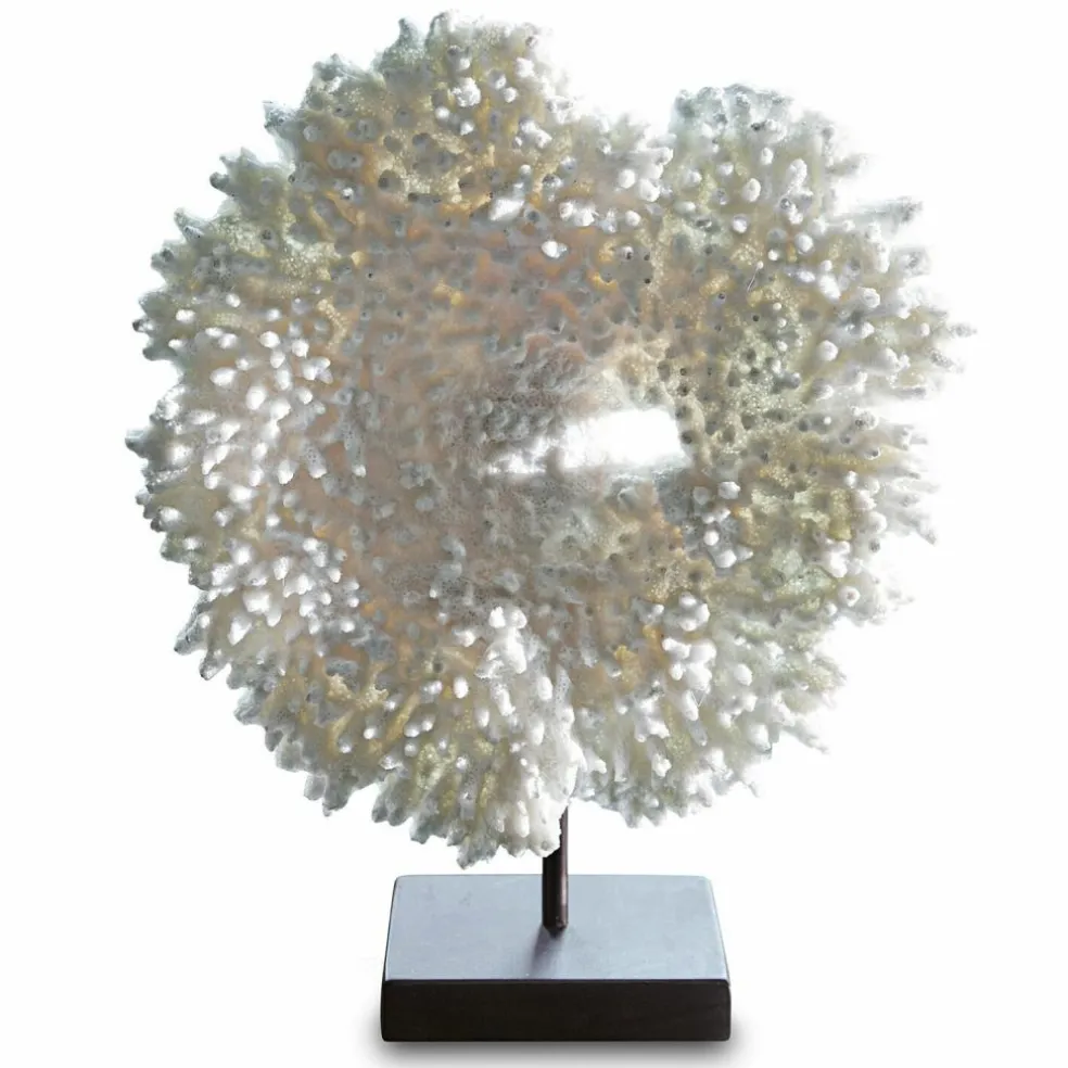 Deko-Koralle Condière