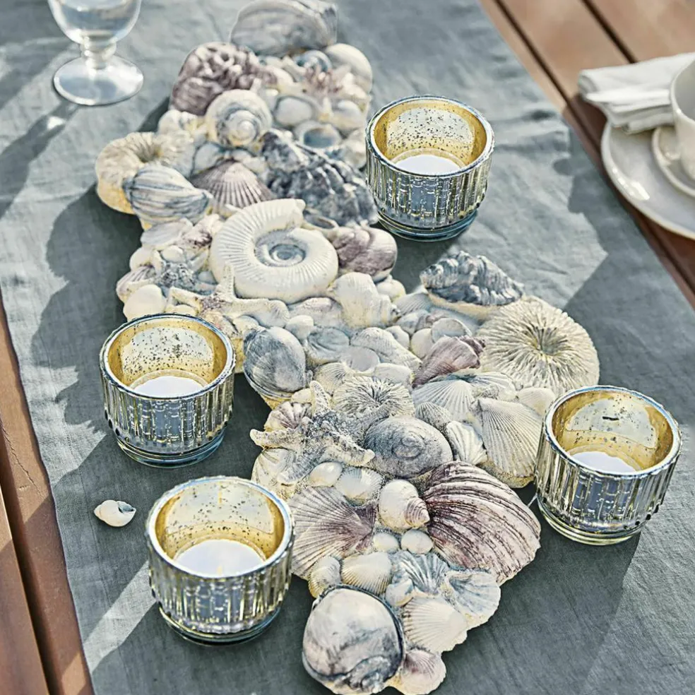 Deko-Muscheln Potnarvin