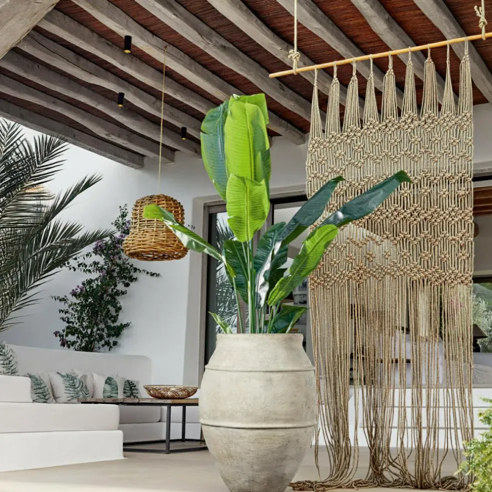 Deko-Pflanze Lennidas