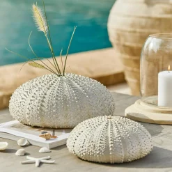 Deko-Seeigel 2er Set Kimbar