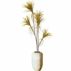 Deko-Topfpflanze Ancerac