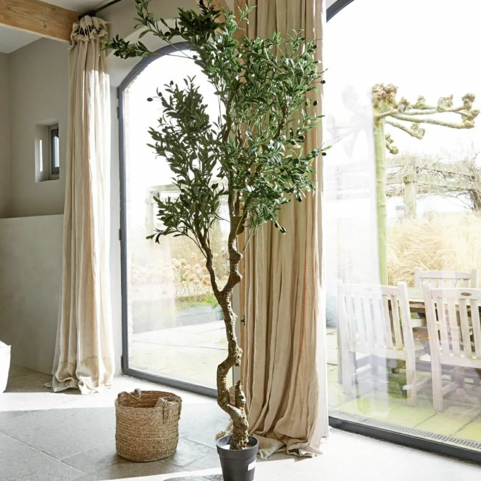 Deko-Topfpflanze Dambly