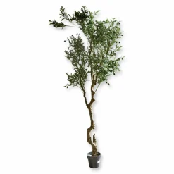 Deko-Topfpflanze Dambly