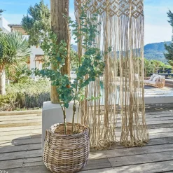 Deko-Topfpflanze Dorevi