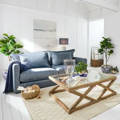 Deko-Topfpflanze Evolet