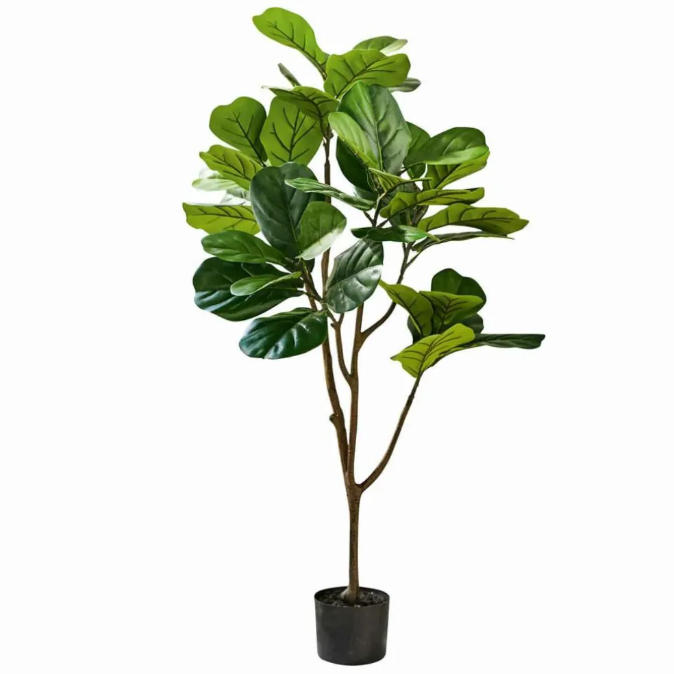 Deko-Topfpflanze Evolet