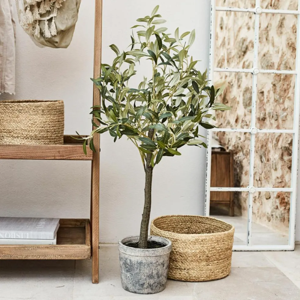 Deko-Topfpflanze Mariuccia