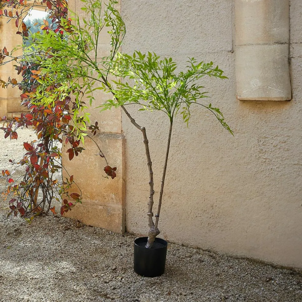 Deko-Topfpflanze 2.Wahl Avenelle