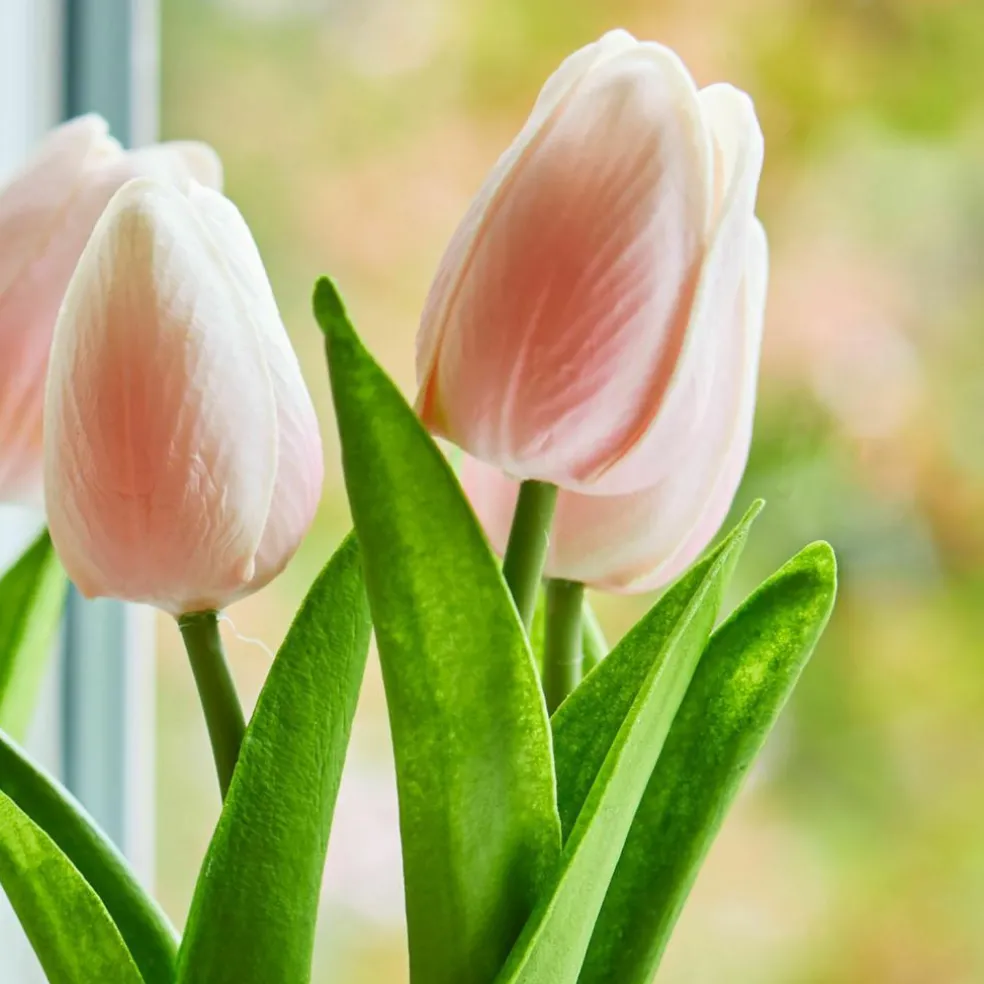 Deko-Tulpe 2er Set Zéphine