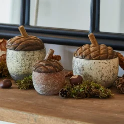 Eichel 3er Set Vibius