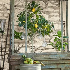 Hängewindlicht 3er Set Fairlie