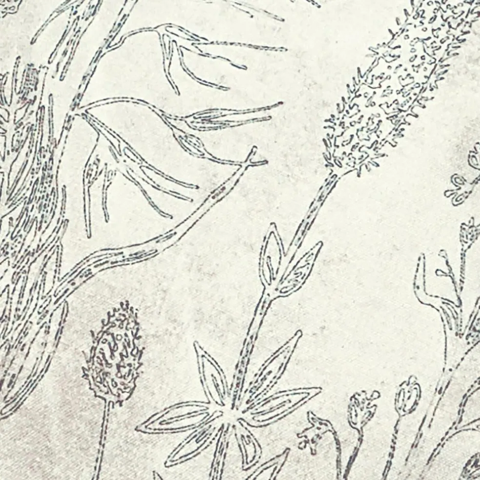 Kissenhülle 2er Set Eleonoire