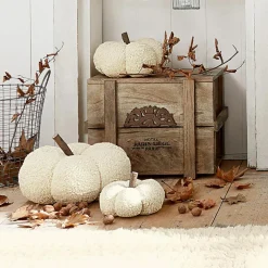 Kürbis 3er Set Benjamin