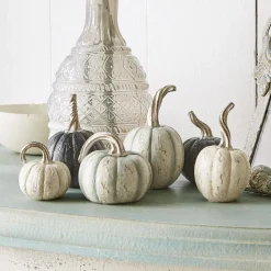 Kürbis 6er Set Yokane