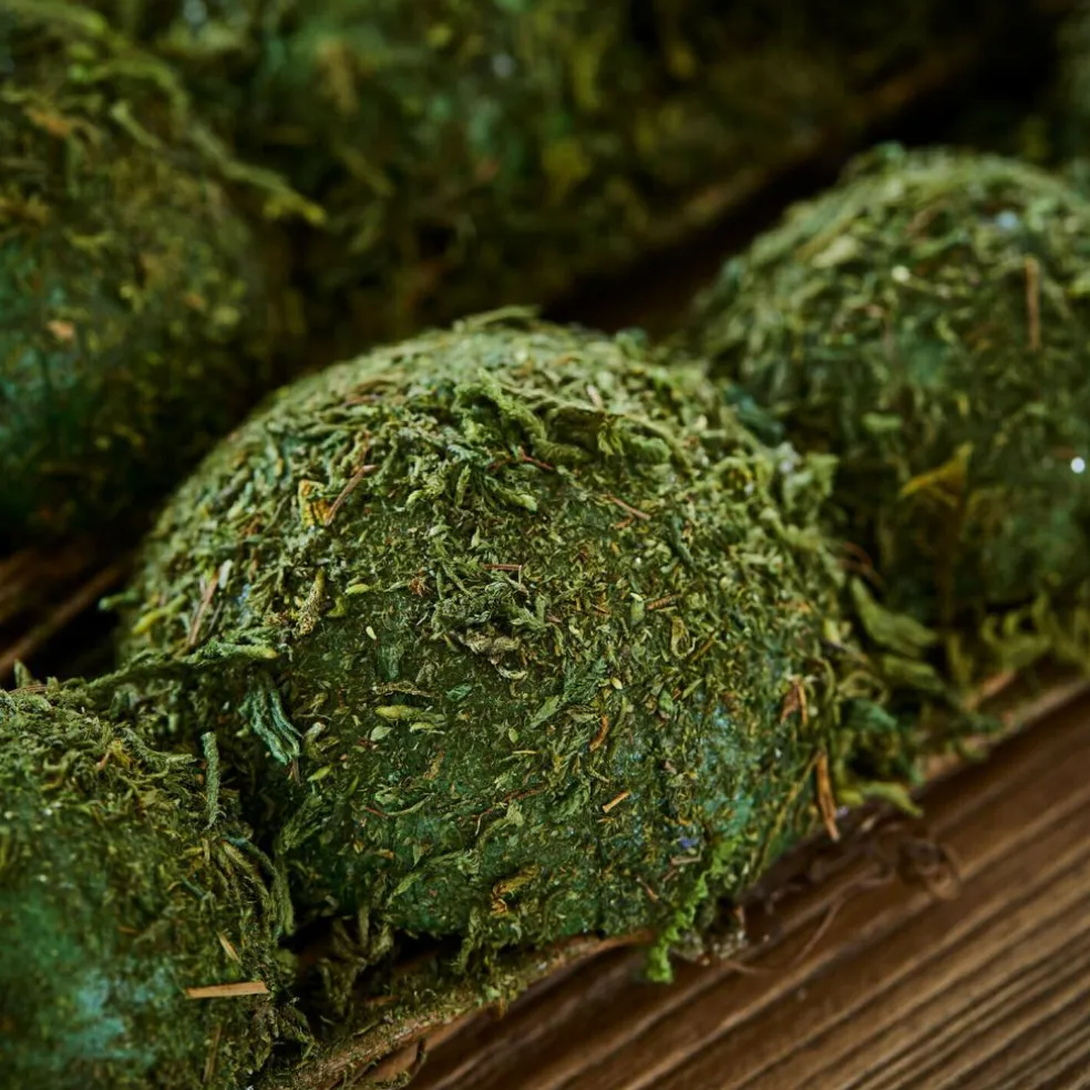 Moos-Tischdekoration Cassiola