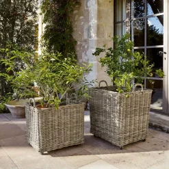 Pflanzkorb 2er Set Gialousa