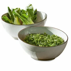 Salatschüssel 2er Set Biarré