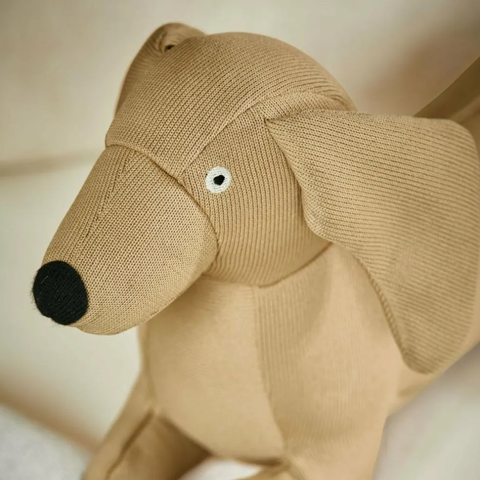 Spielzeug für Haustiere Brisette