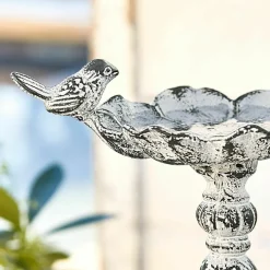 Vogeltränke Petrofani