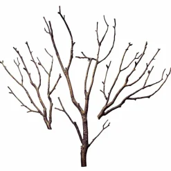 Wand-Deko Osservante