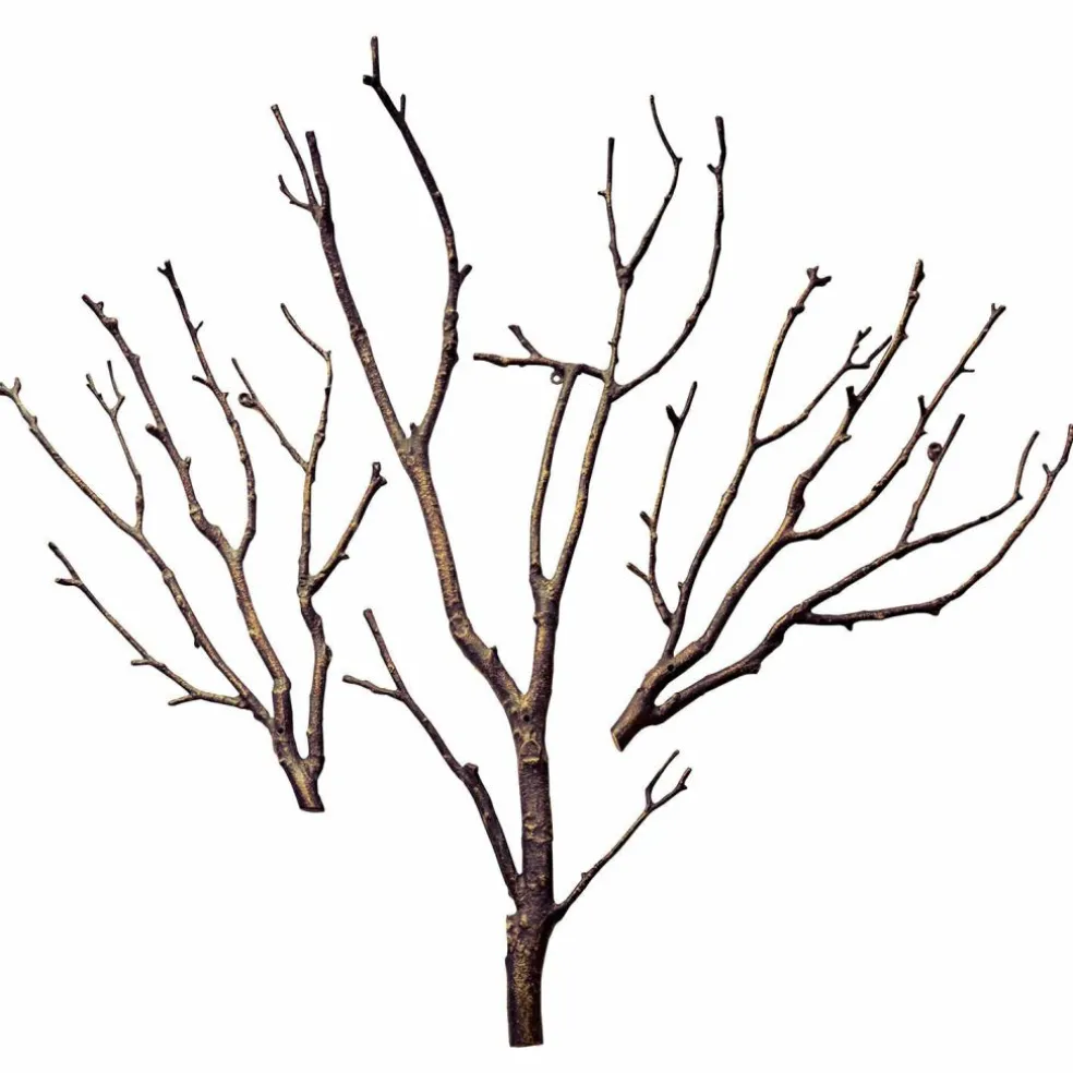 Wand-Deko Osservante