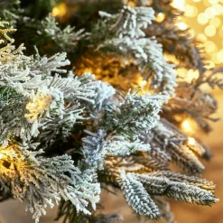 Weihnachtsbaum Cadelise