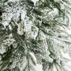 Weihnachtsbaum Lokossa