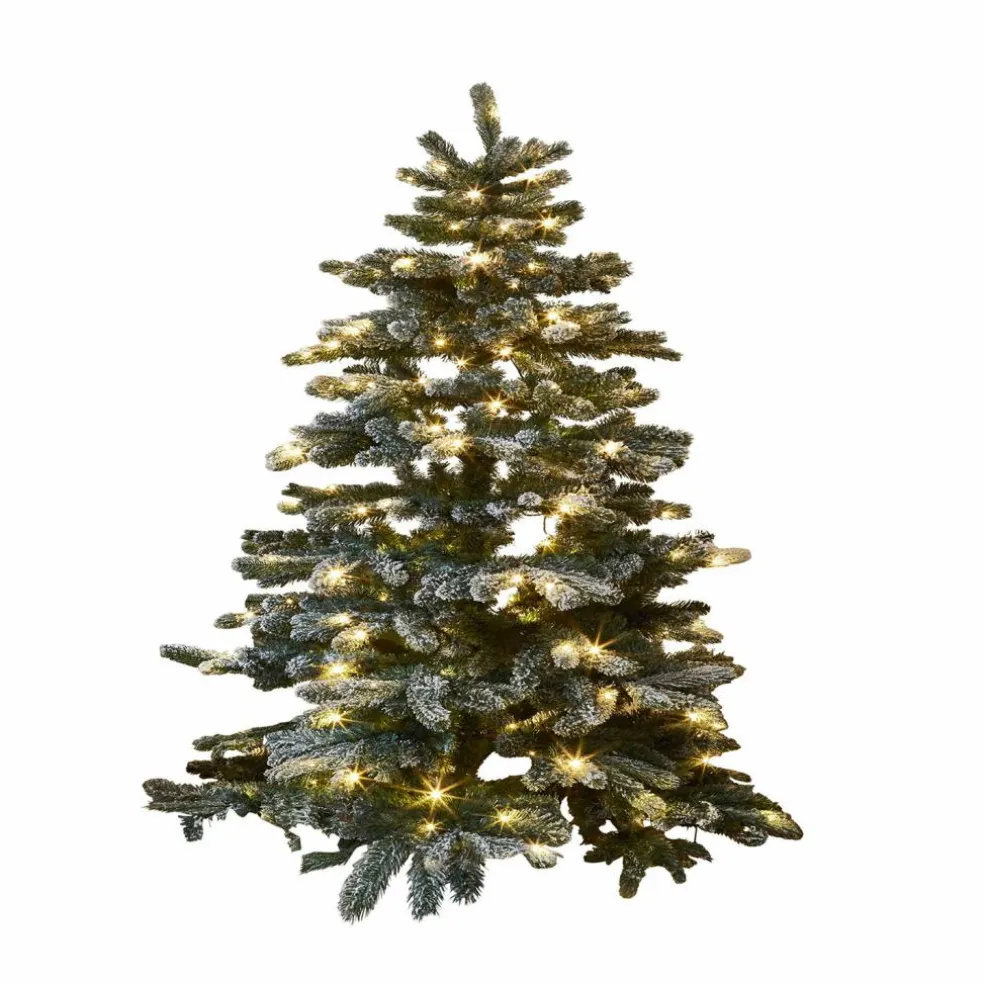 Weihnachtsbaum Mannier