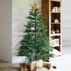 Weihnachtsbaumspitze Glan