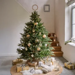 Weihnachtskugel 6er Set Eirelyn