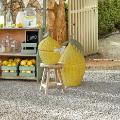 Zitronenkorb 2er Set Aelindria